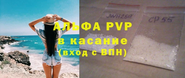 индика Аркадак