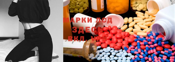 индика Аркадак