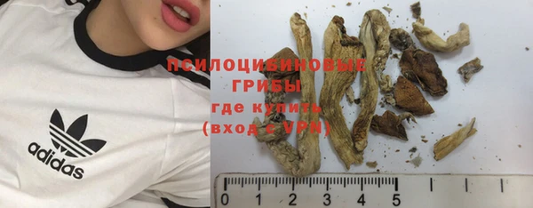 экстази Арсеньев