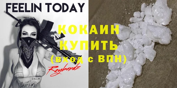 индика Аркадак