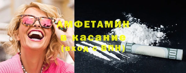 индика Аркадак